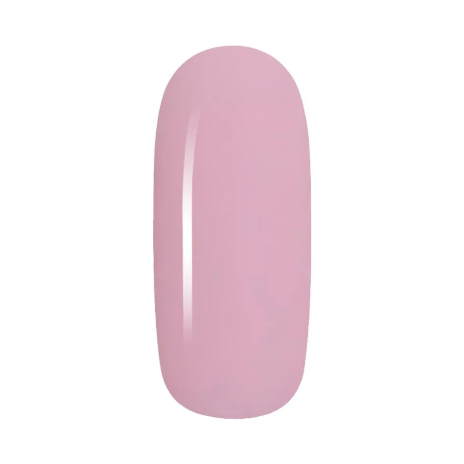 Candy Coat - Paint100