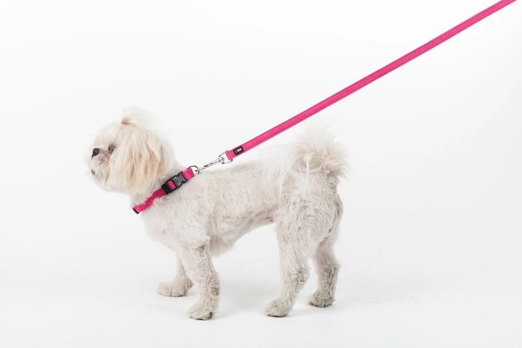 Dogline Comfort Microfiber Flat Collar