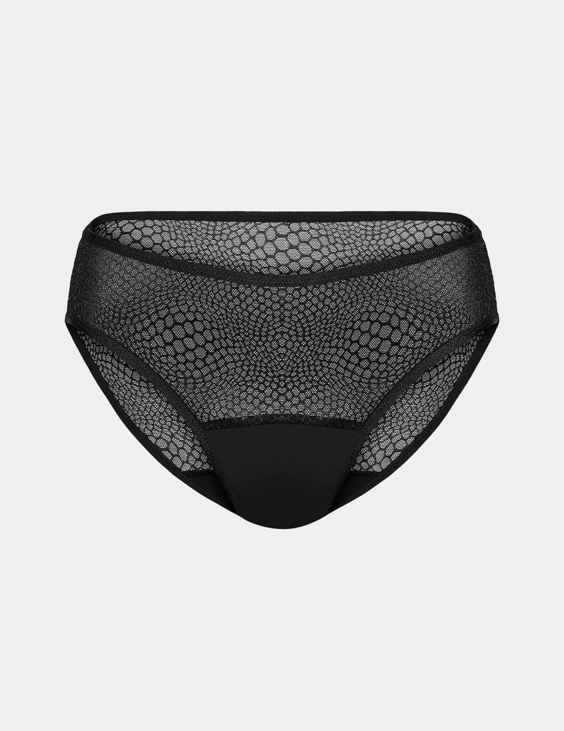 Essential Gossamer Lace Bikini